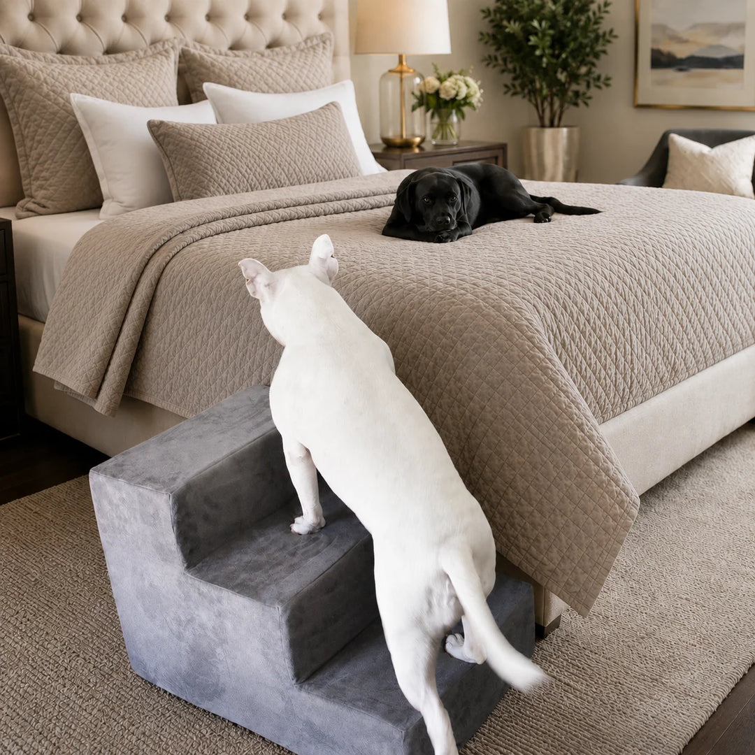 Animals Matter Companion 3-Step Charcoal dog stairs for bed in a luxury bedroom, featuring a white dog using charcoal steps near a black dog.