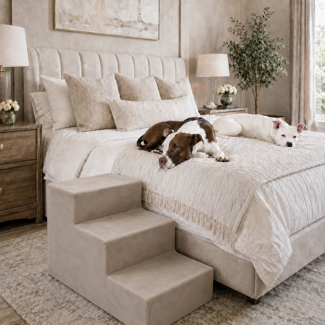 Animals Matter Companion Stairs 3 Step Stone luxury dog stairs in an elegant bedroom, featuring two Companions resting on a cream bed beside stone pet steps.