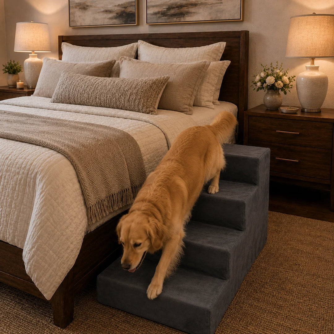 Animals Matter Companion Stairs 4 Step Charcoal luxury dog stairs in a warm bedroom, featuring a golden Companion using charcoal pet steps beside the bed.