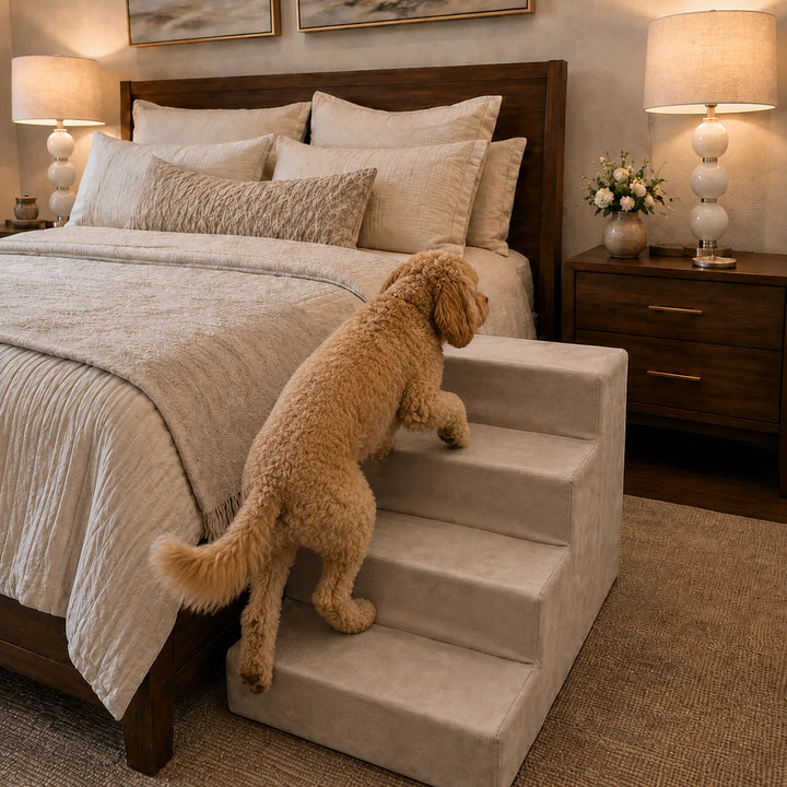 Animals Matter Companion Stairs 4 Step Stone luxury dog stairs in a warm bedroom, featuring a curly Companion using stone pet steps beside the bed.