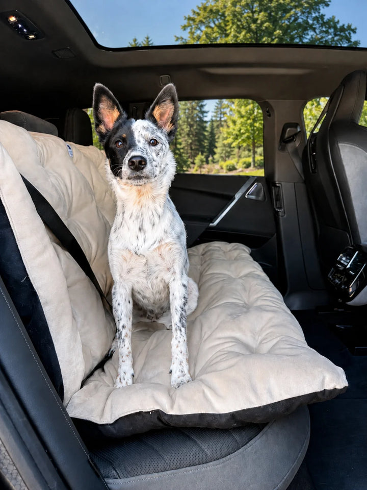 Animals Matter Companion Travel Bench Cushion - Camel dog car seat cover in a luxury vehicle, featuring a speckled dog on a plush rear-seat cushion.