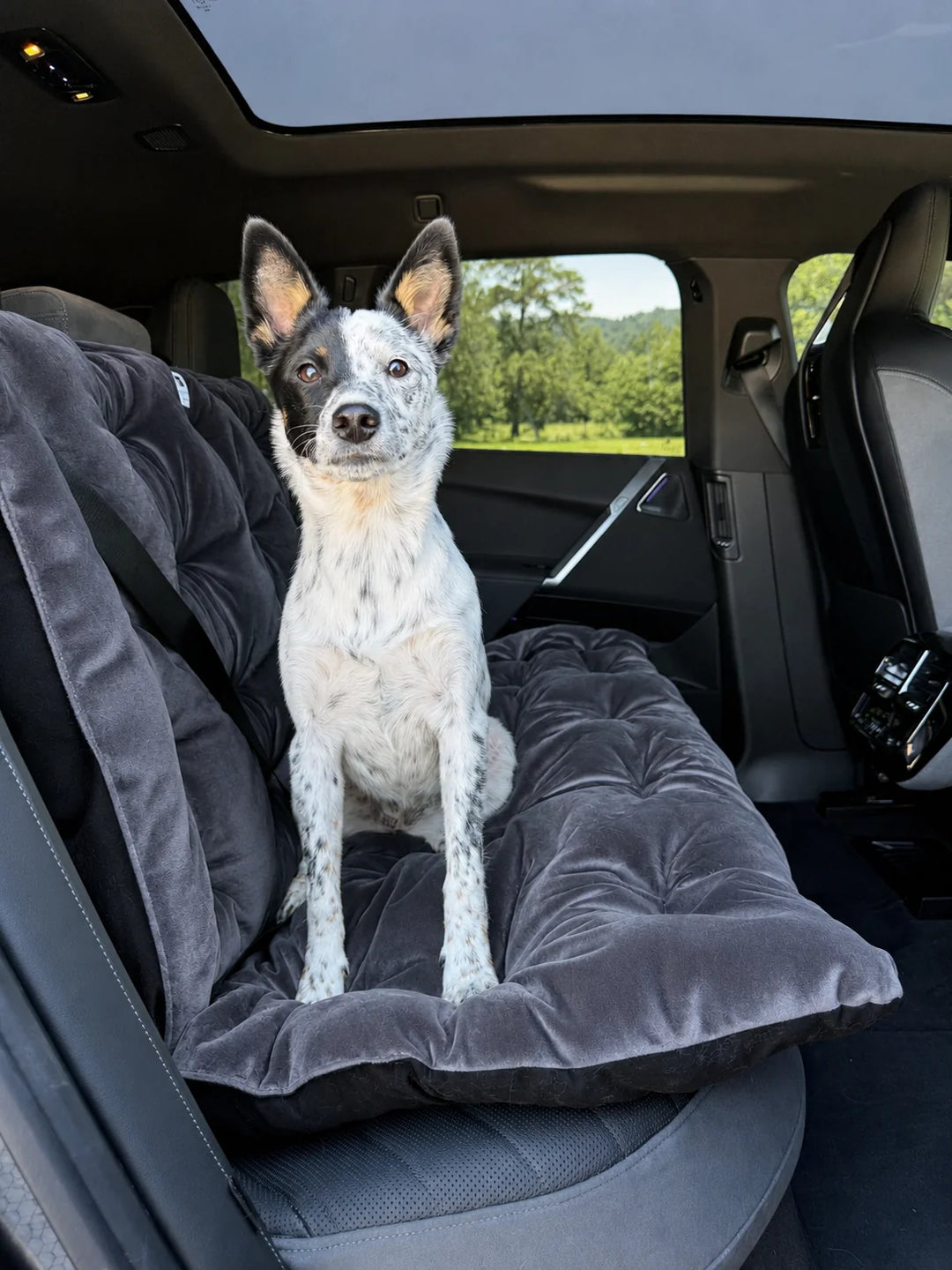 Animals Matter Companion Travel Bench Cushion - Charcoal dog car seat cover in a luxury vehicle, featuring a speckled dog on a plush charcoal rear-seat cushion.
