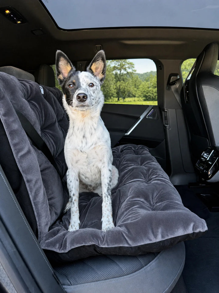 Animals Matter Companion Travel Bench Cushion - Charcoal dog car seat cover in a luxury vehicle, featuring a speckled dog on a plush charcoal rear-seat cushion.