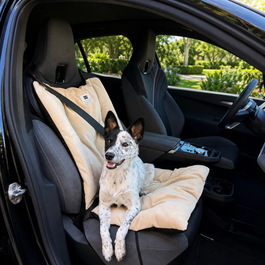 Animals Matter Companion Travel Cushion Bucket dog car seat cushion in camel, featuring a black and white dog riding in a car seat with the cushion secured by seat belt.