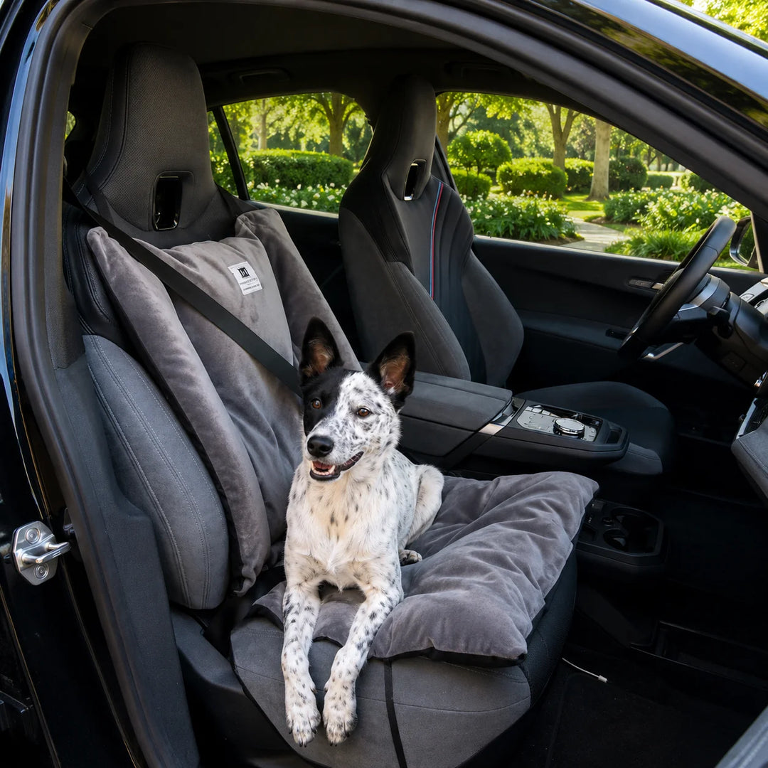 Animals Matter Companion Travel Cushion dog car seat cushion in charcoal, featuring a black and white dog resting in a car seat with the cushion secured by seat belt.
