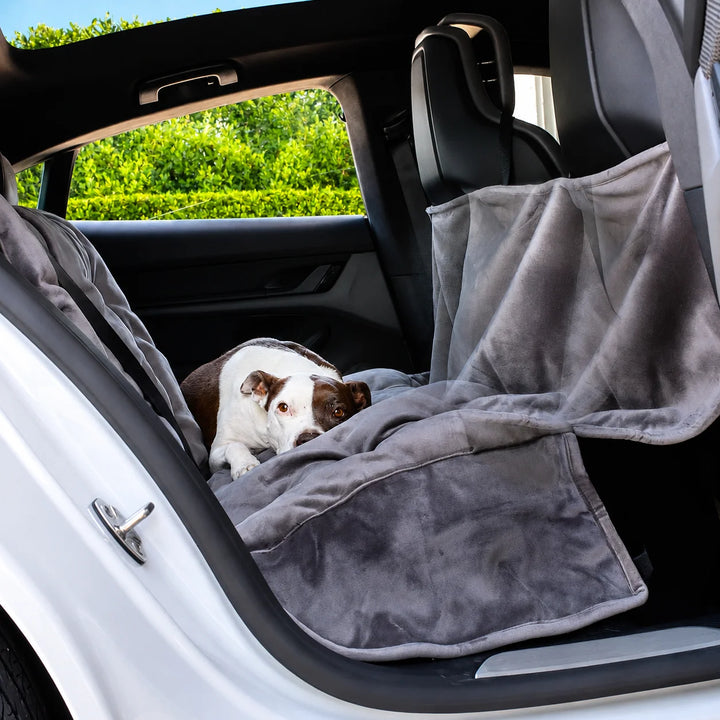 Animals Matter Companion Travel Hammock - Charcoal No Mesh dog car hammock in a luxury vehicle, featuring a brown and white dog on a plush rear-seat cover.