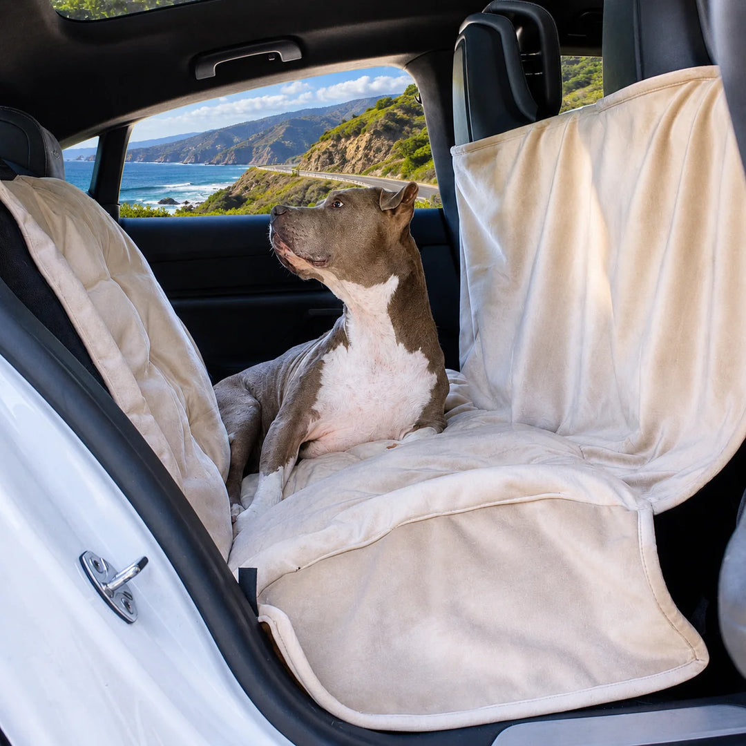 Animals Matter Companion Travel Hammock - Camel No Mesh dog car hammock in a luxury vehicle, featuring a gray dog on a plush camel rear-seat cover with coastal view.