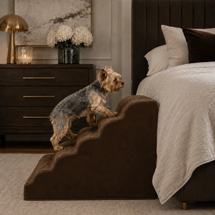 Animals Matter Companion Ramp  in dark chocolate brown, featuring a Yorkshire Terrier climbing toward a bed in an elegant bedroom.
