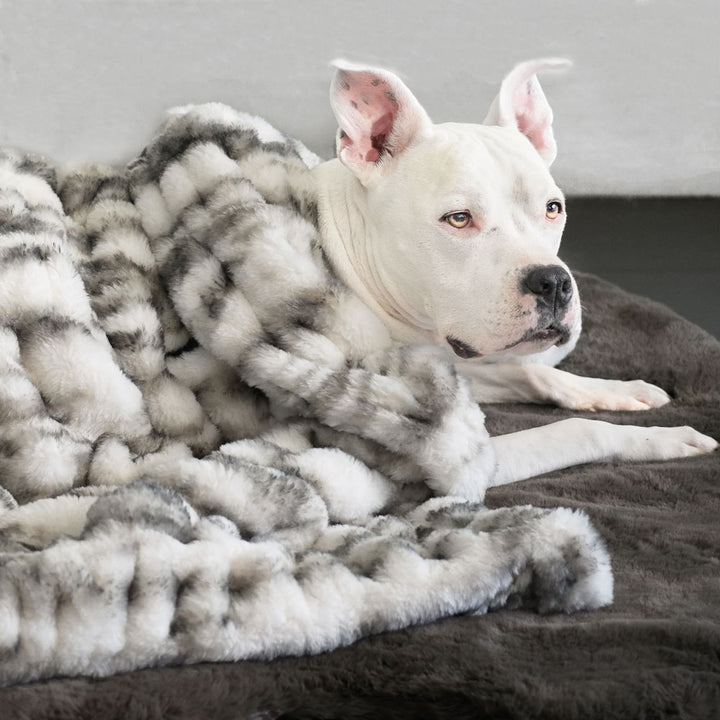 Companion Ruche Black and White Marble Luxury Dog Blanket