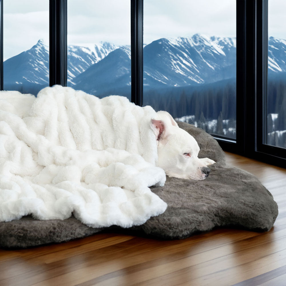 Companion Ruche White Luxury Dog Blanket