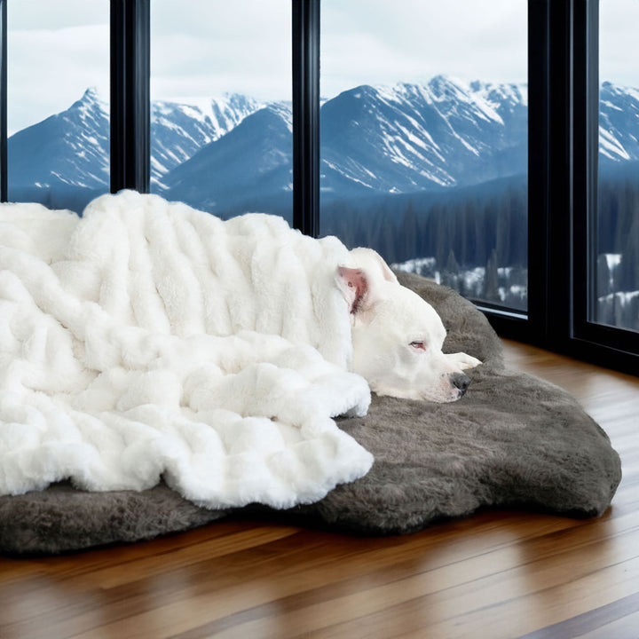 Companion Ruche White Luxury Dog Blanket