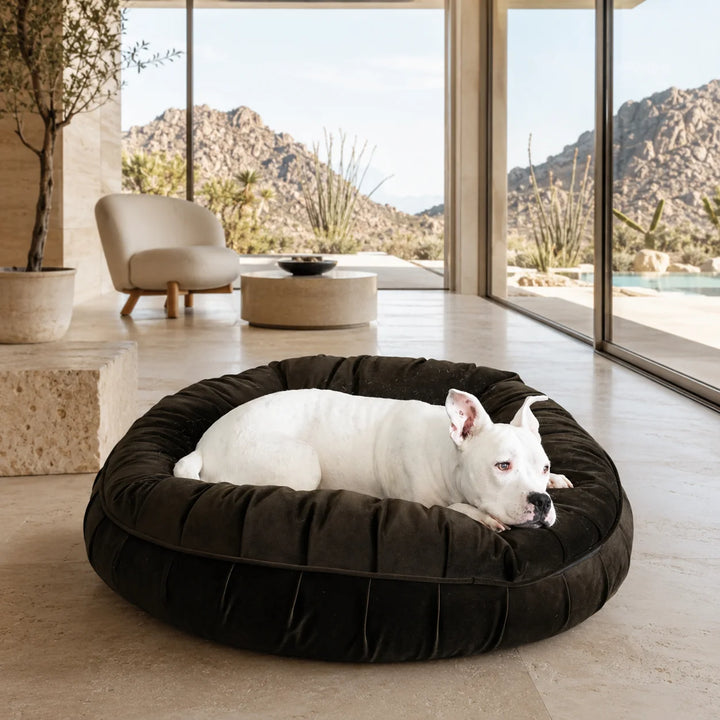 Animals Matter L.A. Dog Company® Ali Donut® Espresso luxury donut dog bed in a high-rise living room, featuring a brindle Companion resting in a dark brown bed.