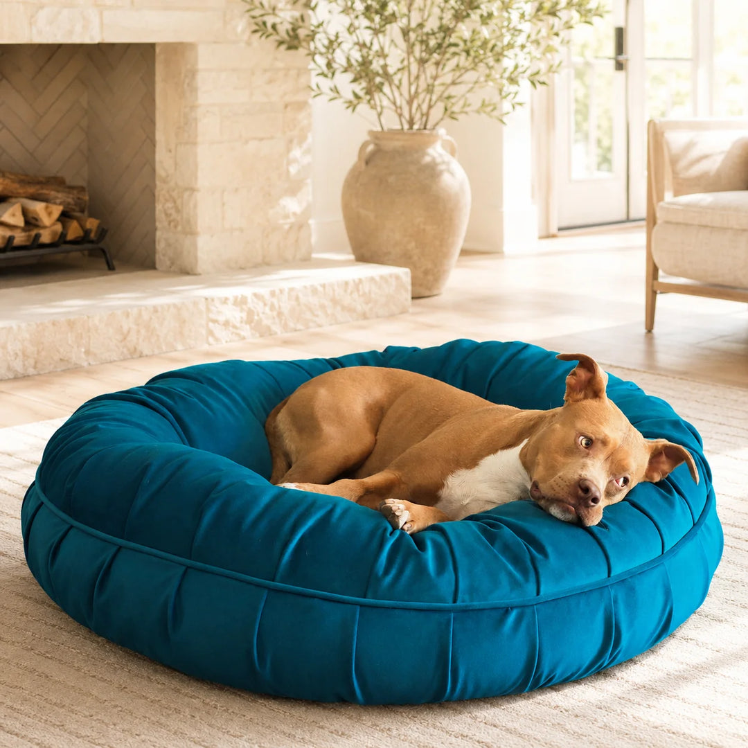Animals Matter L.A. Dog Company® Ali Donut® Turquoise luxury donut dog bed by a stone fireplace, featuring a tan Companion lounging in a teal blue bed.