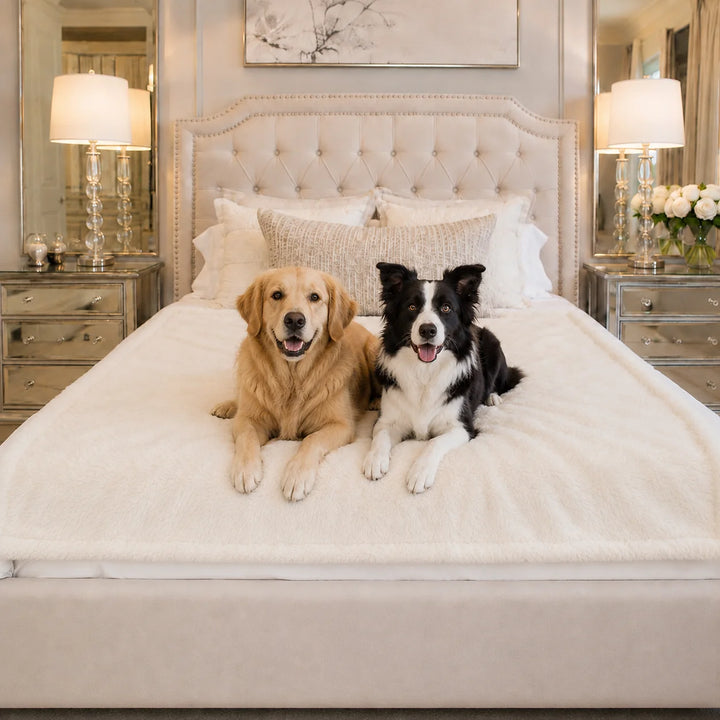 Animals Matter Cozy Raine Waterproof Blanket waterproof dog blanket in ivory on a queen bed, featuring two Companions in a luxury bedroom setting.