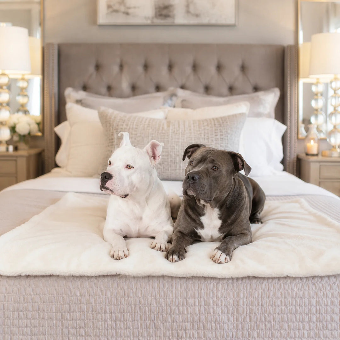 Animals Matter Cozy Raine Waterproof Blanket waterproof dog blanket in ivory on a gray bed, featuring two Companions in a luxury bedroom setting.