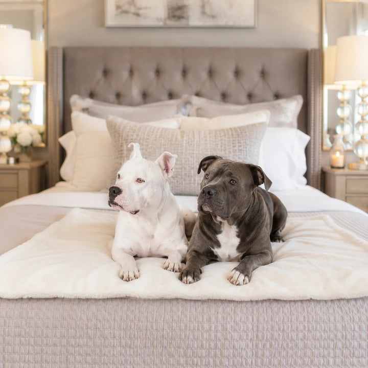 Animals Matter Cozy Raine Waterproof Blanket waterproof dog blanket in ivory on a gray bed, featuring two Companions in a luxury bedroom setting.