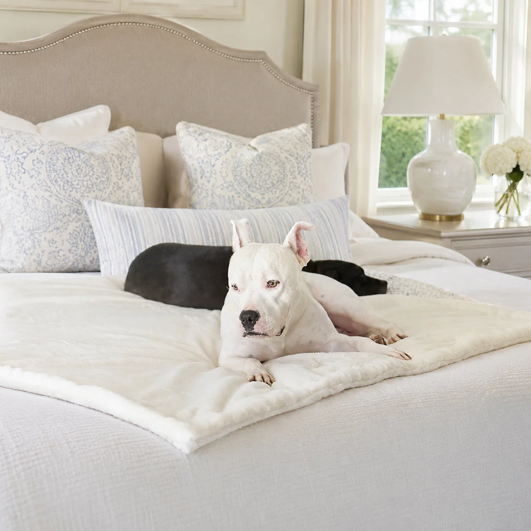 Animals Matter Cozy Raine Waterproof Blanket in a bright luxury bedroom, featuring two dogs resting on a plush cream waterproof dog blanket.