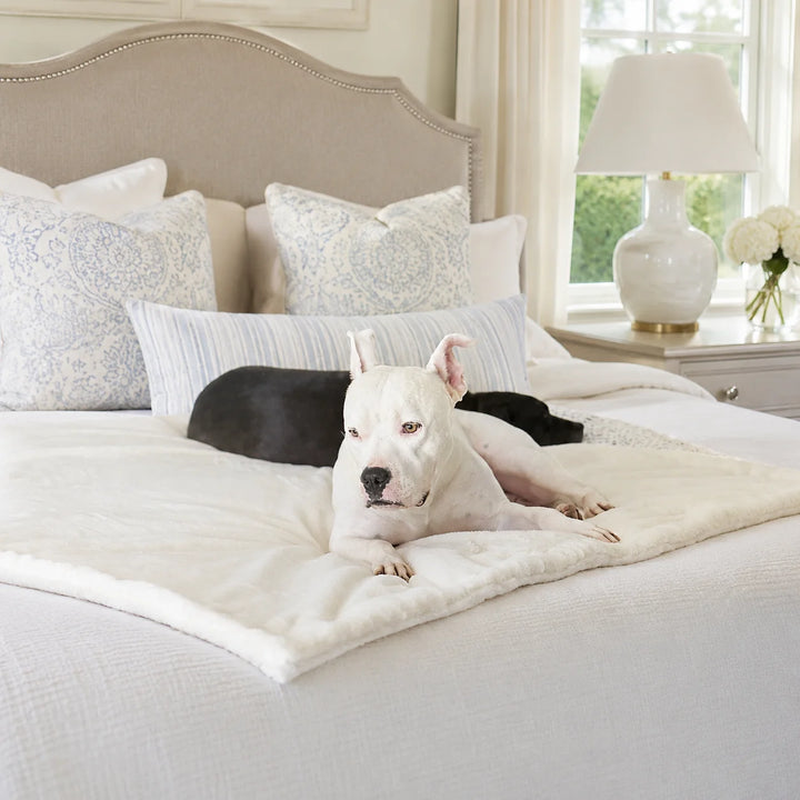 Animals Matter Cozy Raine Waterproof Blanket in a bright luxury bedroom, featuring two dogs resting on a plush cream waterproof dog blanket.