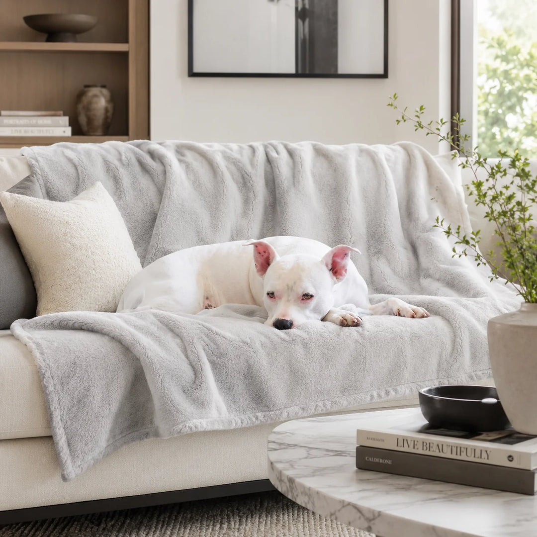 Animals Matter Cozy Raine Waterproof Blanket waterproof dog blanket in light gray on a living room couch, featuring a white Companion resting in a modern home setting.