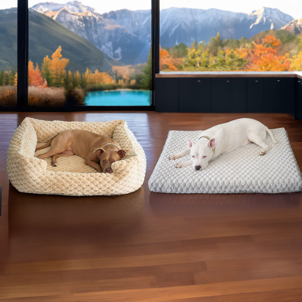 A picture of Roxy in the New: Katie Puff® Encore Companion-Pedic® Ortho Lounger in camel   and Hudson next to her on his Katie Puff® Ortho Rectangle Companion-Pedic® in pearl gray, you see a mountain landscape filled with trees during fall season with orange and yellow leaves and a beautiful lake with crystal clear water 