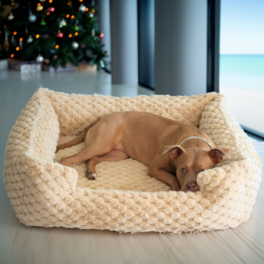 New: Katie Puff® Encore Companion-Pedic® Ortho Lounger Orthopedic Luxury Dog Bed