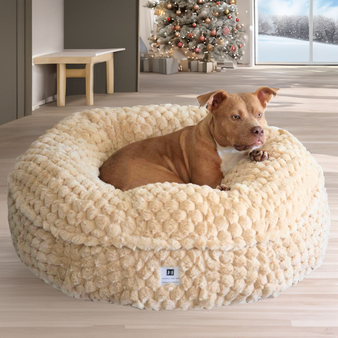 The New Katie Puff Encore Luxury Dog Bed. Made with Companion-Pedic Foam and Luxura-Fill Fiber by Animals Matter.