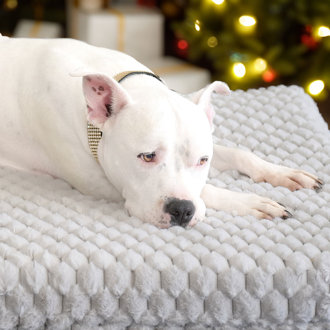 Animals Matter Katie Puff Encore Orthopedic Rectangle Luxury Dog Bed.