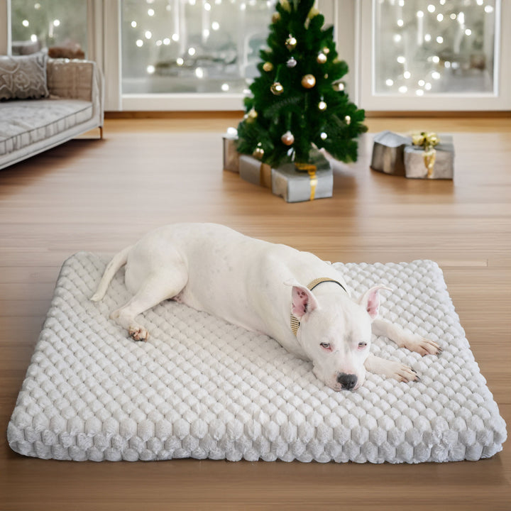 Animals Matter Katie Puff Encore Orthopedic Rectangle Luxury Dog Bed.