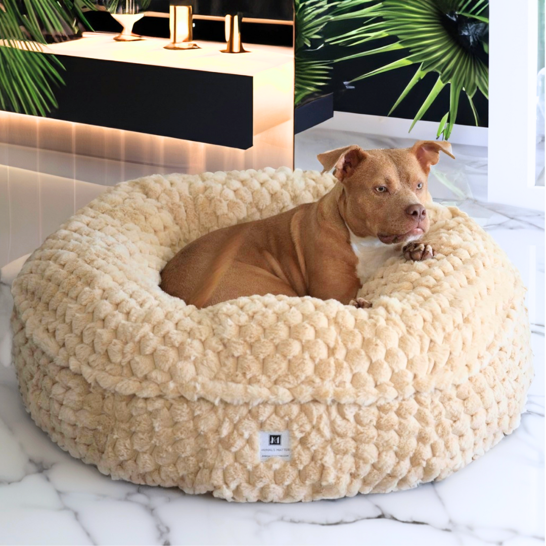 Puff ball dog clearance bed