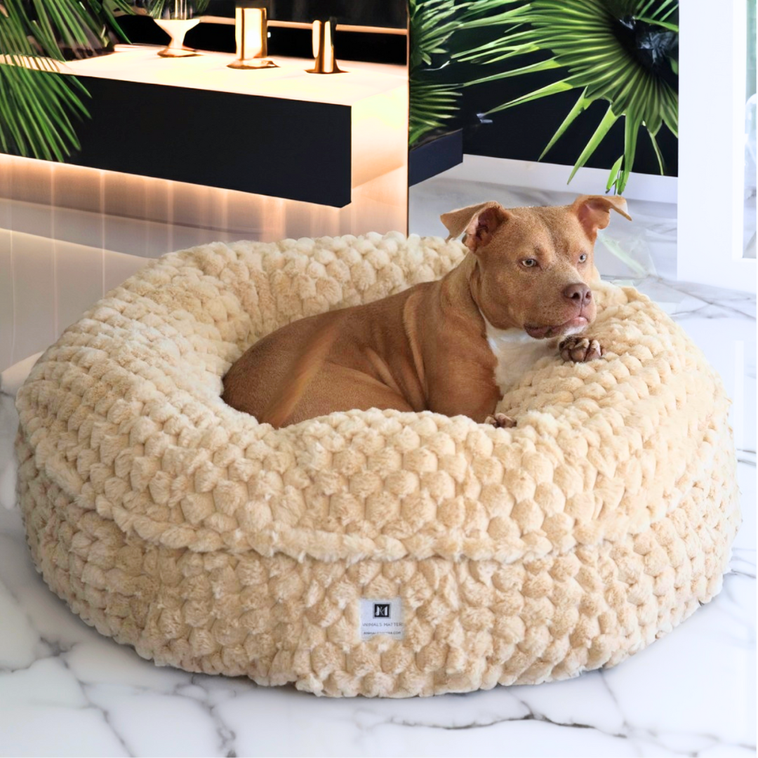 Puff ball dog sales bed