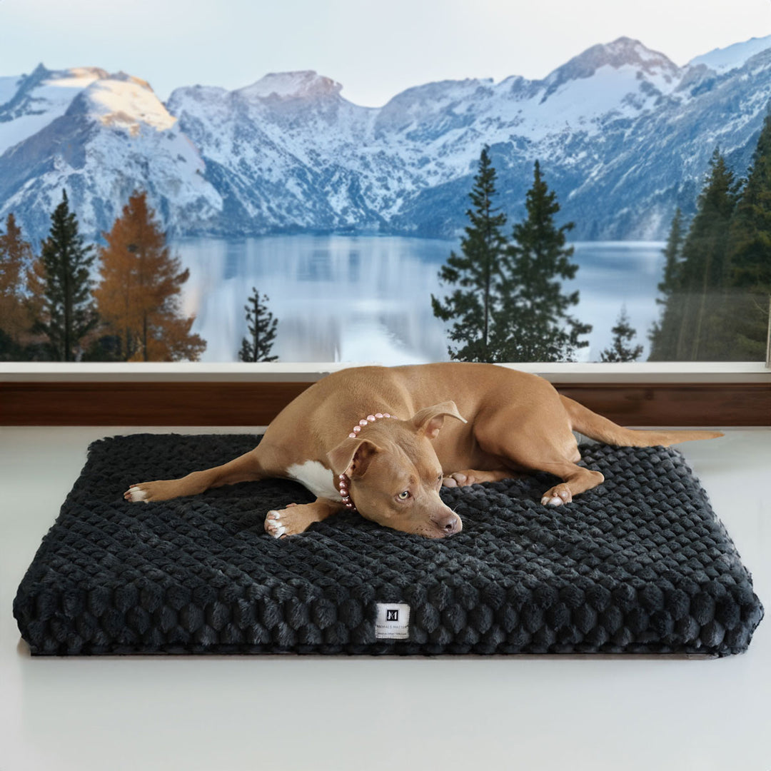 Animals Matter Katie Puff Encore Orthopedic Rectangle Luxury Dog Bed.