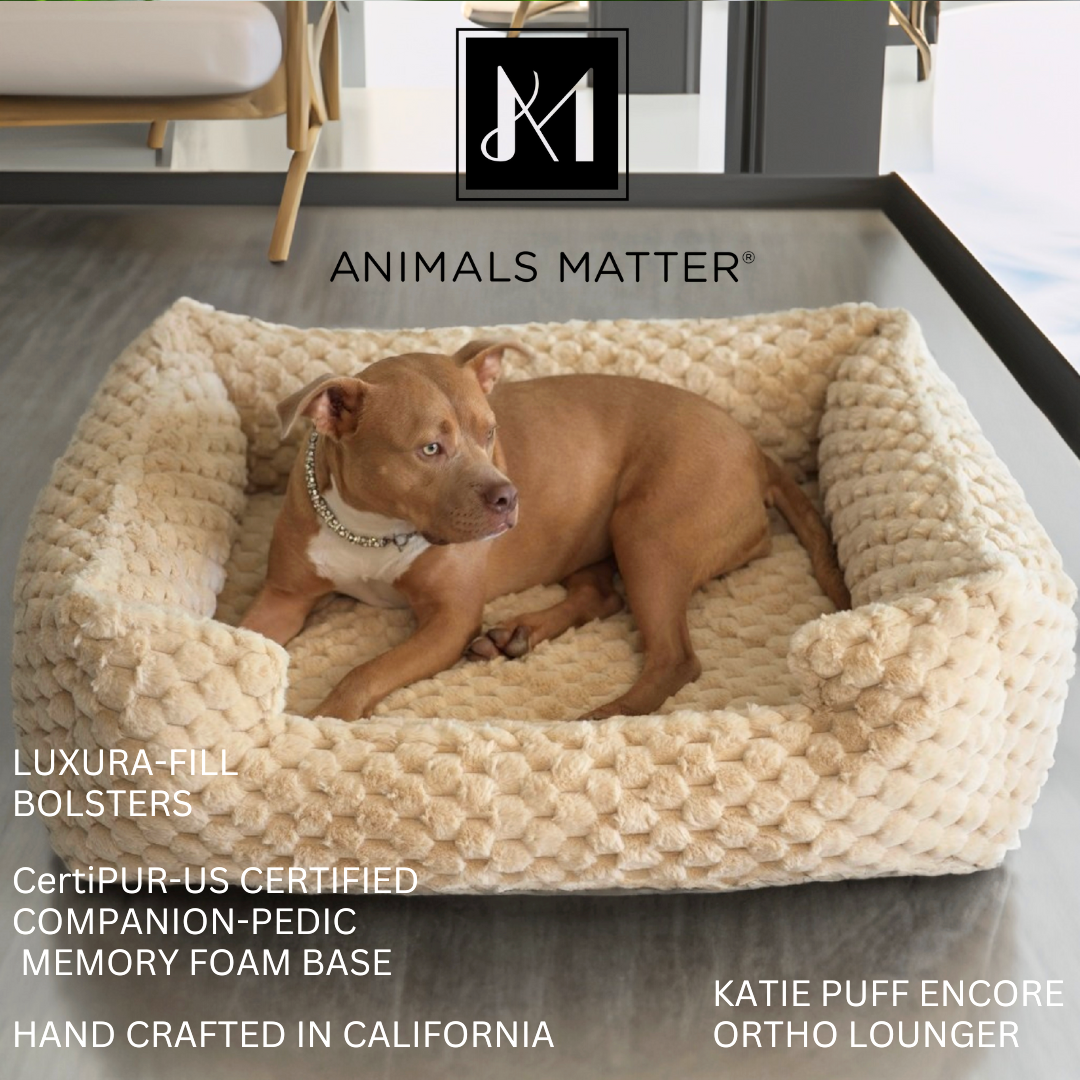 Animals Matter Katie Puff Encore Orthopedic Lounger Luxury Dog Bed