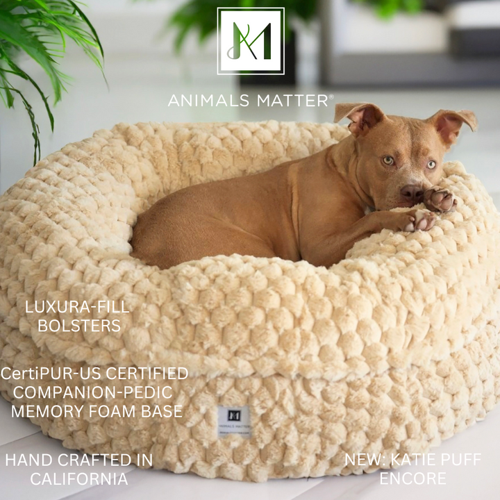 The New Katie Puff Encore Luxury Dog Bed. Made with Comapnion-Pedic Foam and Luxura-Fill Fiber by Animals Matter.