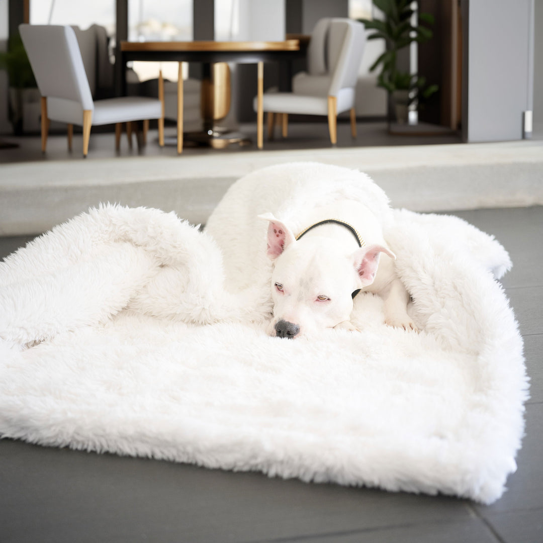 New: Animals Matter® Roxy Luxura-Protect™ Waterproof Luxury Dog Blanket