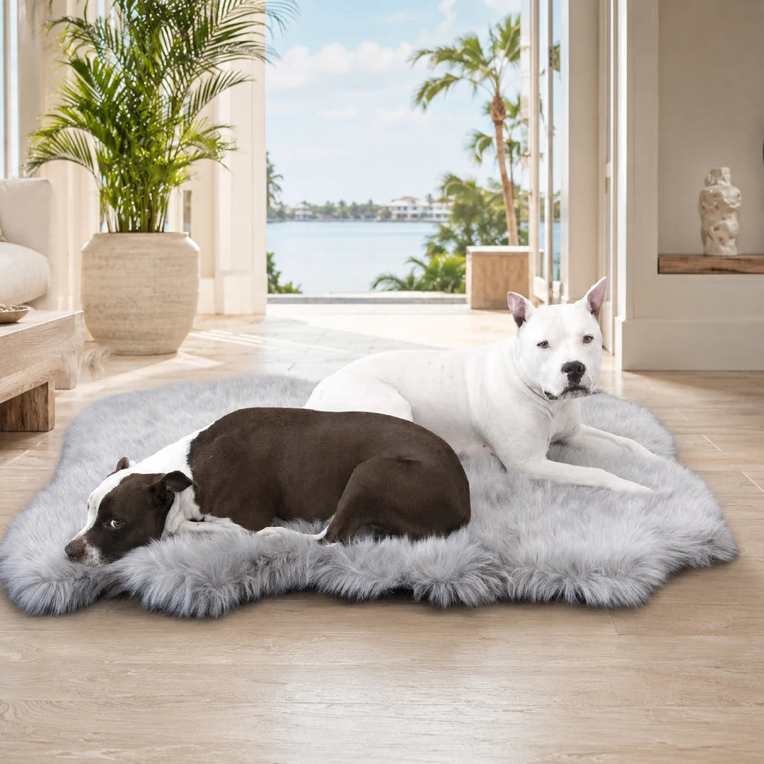 Animals Matter Faux Fur Ortho Shag Rug luxury orthopedic dog rug in Gray, featuring two Companions resting on a plush shag surface in a coastal home.