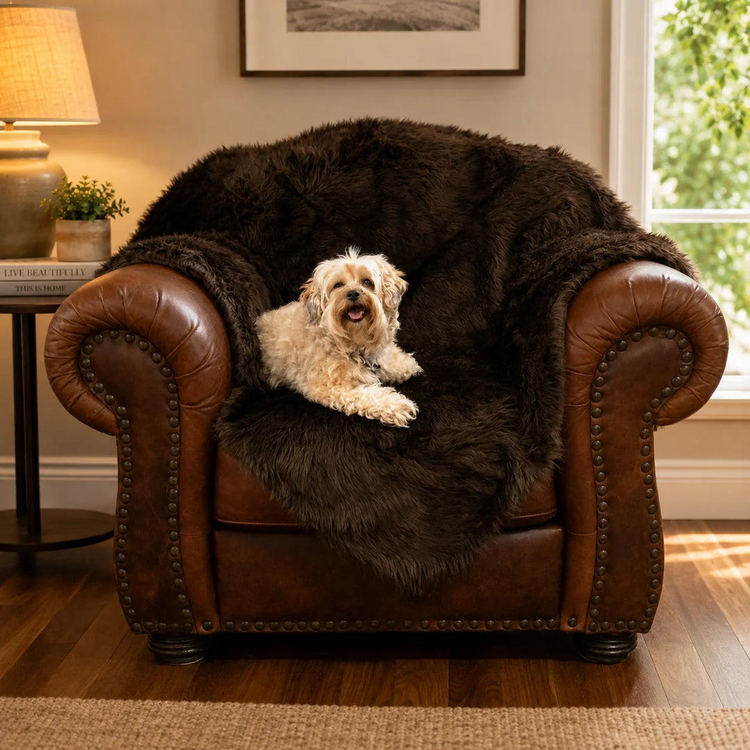 Animals Matter Faux Fur Shag Blanket in chocolate, featuring a Companion relaxing on a plush faux fur chair cover in a warm living room.