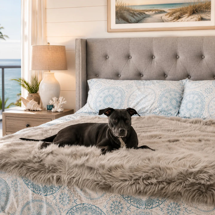 Animals Matter Faux Fur Shag Blanket in gray, featuring a Companion resting on a plush bed throw in a coastal bedroom.