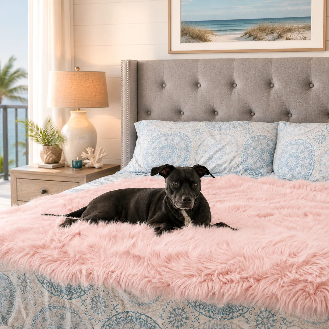 Animals Matter Faux Fur Shag Blanket in pink, featuring a Companion resting on a plush bed throw in a coastal bedroom.
