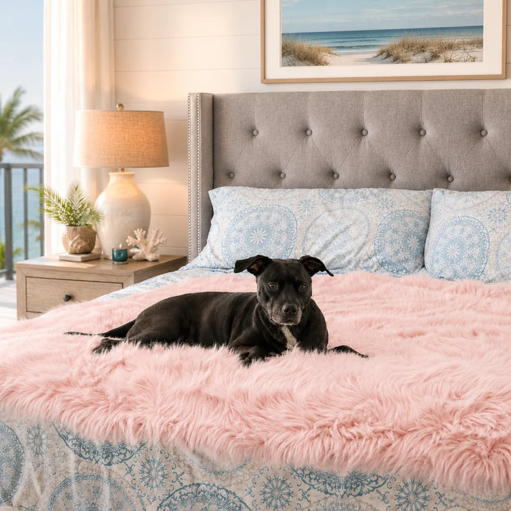 Animals Matter Faux Fur Shag Blanket in pink, featuring a Companion resting on a plush bed throw in a coastal bedroom.