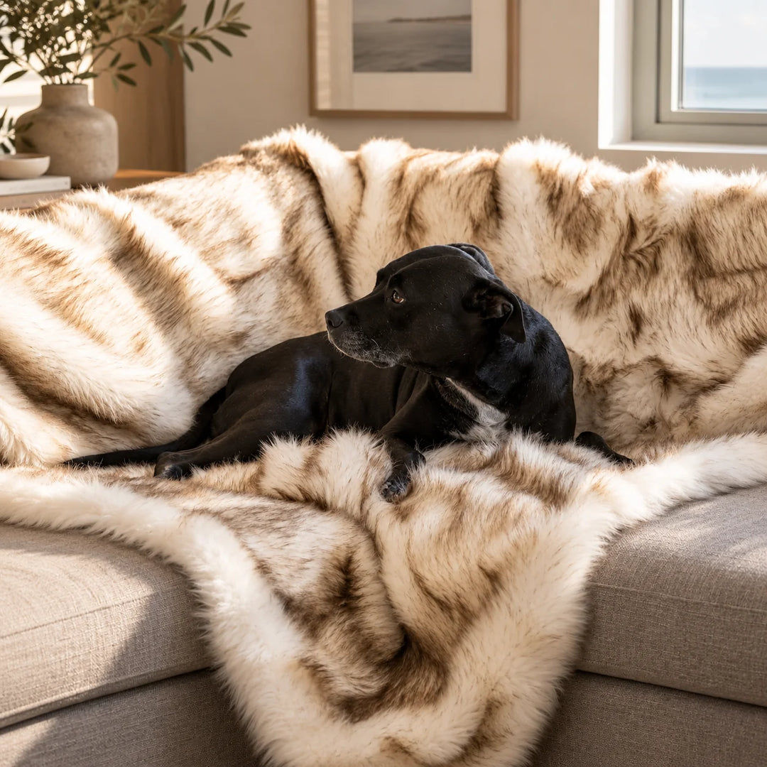 Animals Matter Faux Fur Shag Blanket in white with brown tips, featuring a Companion relaxing on a plush faux fur sofa throw.