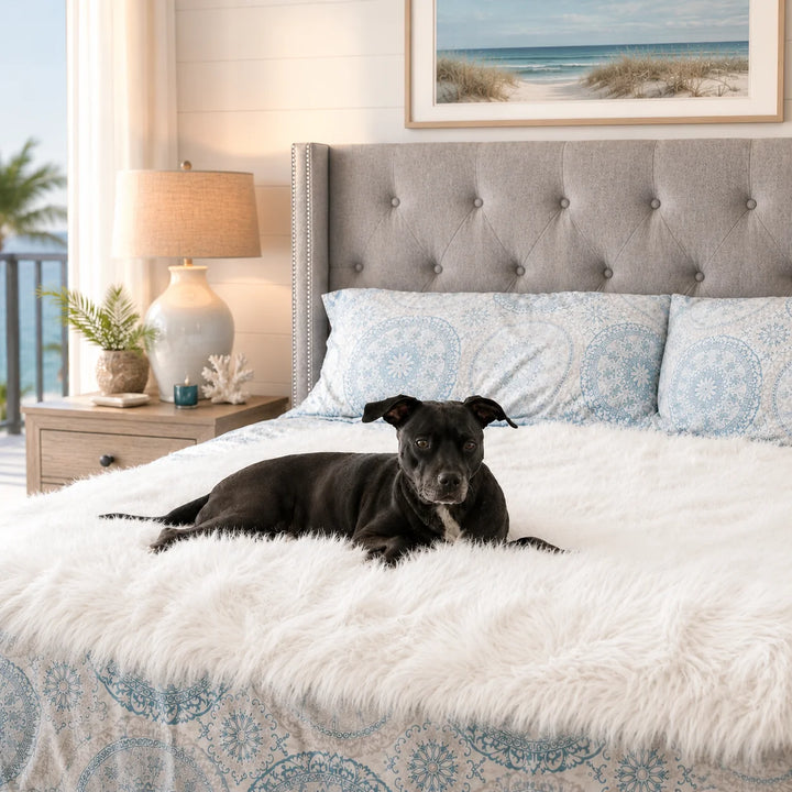 Animals Matter Faux Fur Shag Blanket in white, featuring a Companion resting on a plush bed throw in a coastal bedroom.