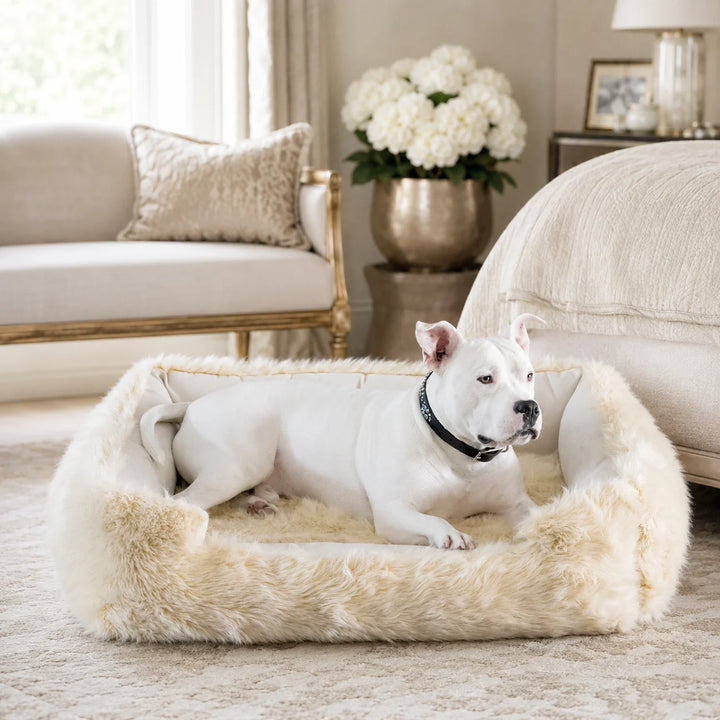 Animals Matter Faux Fur Shag Lounger luxury faux fur dog bed in Camel, featuring a white Companion relaxing in a plush bed in an elegant bedroom.