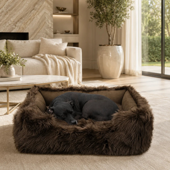 Animals Matter Faux Fur Shag Lounger luxury faux fur dog bed in Chocolate, featuring a dark-coated Companion curled up in a bright refined living room.