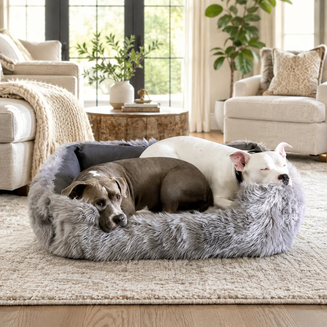 Animals Matter Faux Fur Shag Lounger luxury faux fur dog bed in Gray, featuring two Companions resting together in a soft neutral living room.