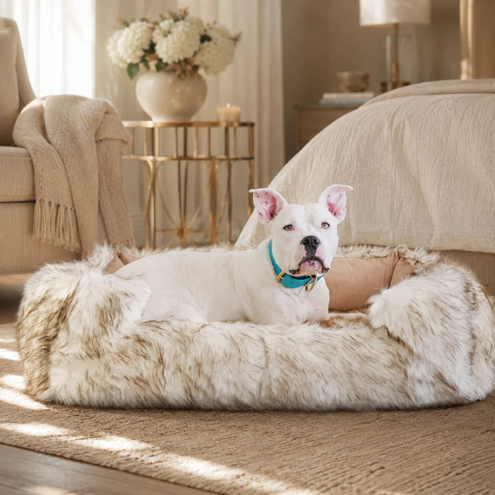 Animals Matter Faux Fur Shag Lounger luxury faux fur dog bed in White Brown Tip, featuring a white Companion resting in a warm bedroom setting.