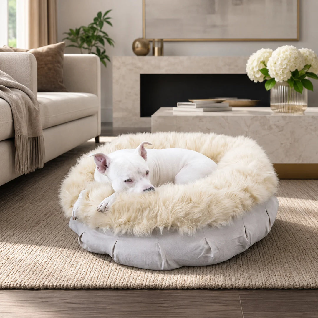 Animals Matter Faux Fur Shag Puff luxury faux fur dog bed in Camel, featuring a white Companion nestled in a round plush bed in an elegant living room.