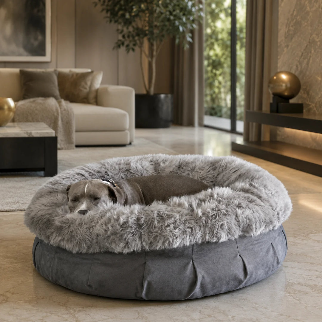 Animals Matter Faux Fur Shag Puff luxury faux fur dog bed in Gray, featuring a Companion resting in a round plush bed in a refined living room.