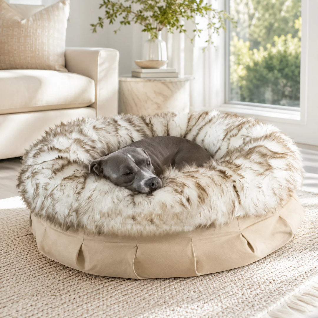 Animals Matter Faux Fur Shag Puff luxury faux fur dog bed in White Brown Tip, featuring a Companion resting in a sunlit neutral living room.