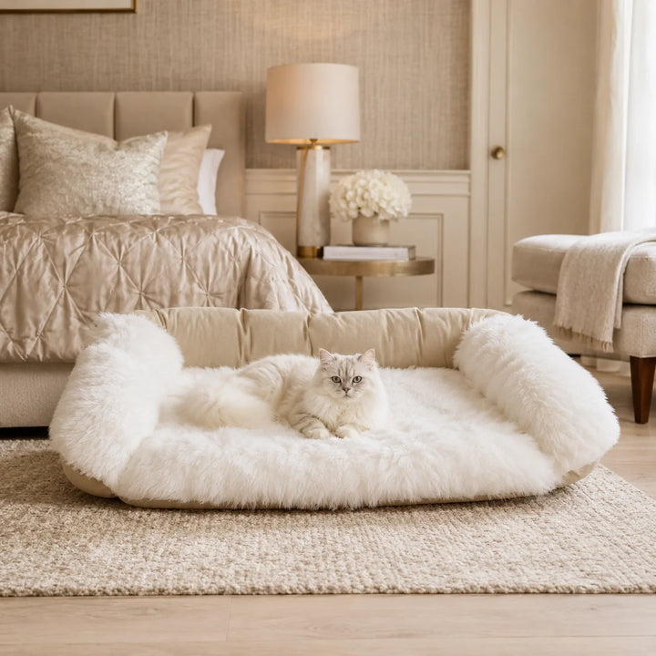 Animals Matter Faux Fur Shag Sydney Companion-Pedic White luxury orthopedic pet bed in an elegant bedroom, featuring a cat resting on a plush white faux fur bed.