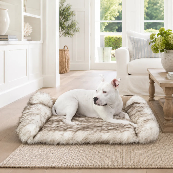 Animals Matter Faux Fur Shag Sydney luxury faux fur dog bed in White Brown Tip, featuring a white Companion relaxing in a bright neutral living room.